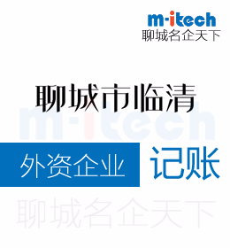 聊城市臨清會計(jì)公司代辦理外資企業(yè)記賬