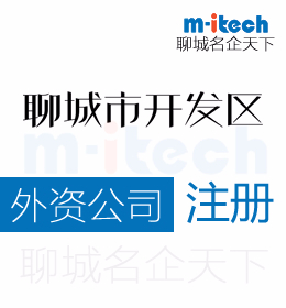 聊城經(jīng)濟(jì)技術(shù)開(kāi)發(fā)區(qū)注冊(cè)外資企業(yè)營(yíng)業(yè)執(zhí)照代辦理